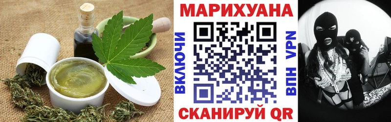 как найти закладки  Новозыбков  даркнет состав  Cannafood марихуана 