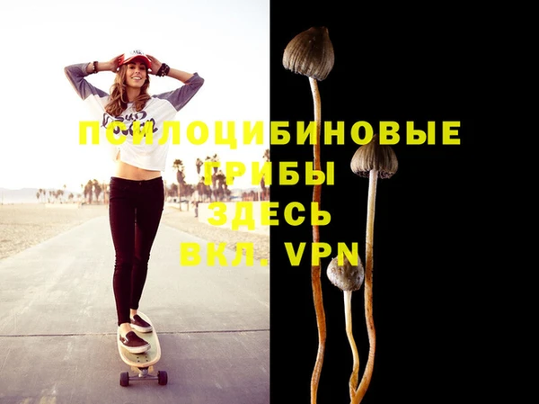 дмт Новокубанск