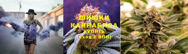 дмт Новокубанск