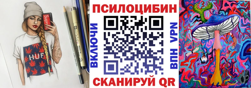 магазин продажи Новозыбков Галлюциногенные грибы MAGIC MUSHROOMS