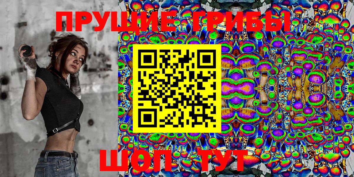 Галлюциногенные грибы Magic Shrooms  Галлюциногенные грибы ЛСД  Вход с VPN  Новозыбков 
