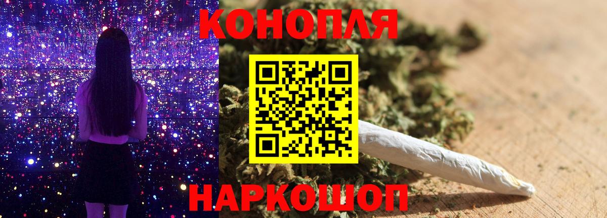 Каннабис Ganja Новозыбков